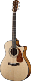 Gitarre